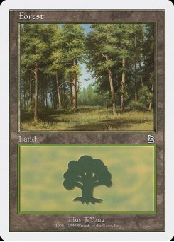 Forest