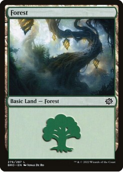 Floresta