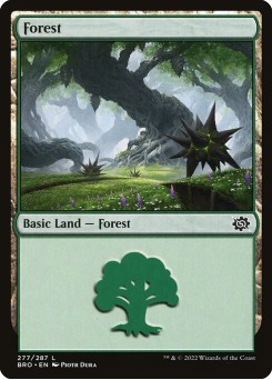 Floresta