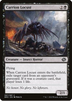 Gafanhoto Necrófago