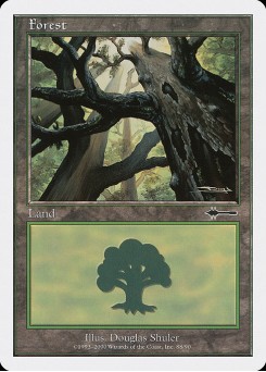 Forest