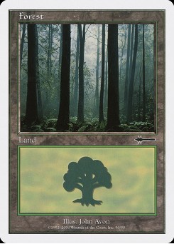 Forest