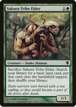 Sakura-Tribe Elder
