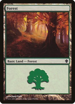 Forest