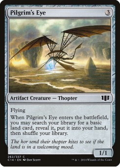 Pilgrim's Eye