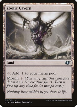 Zoetic Cavern