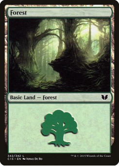Forest