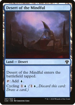 Deserto do Consciente