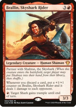 Brallin, Ginete de Tubarão-celeste