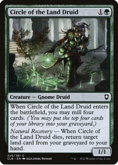Druida do Círculo da Terra