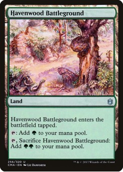 Havenwood Battleground