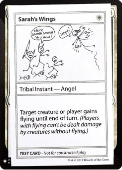 Sarah's Wings