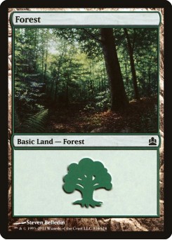Forest