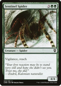 Aranha Sentinela