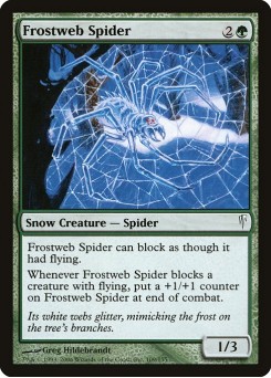 Aranha Teia de Gelo