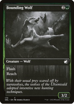 Bounding Wolf