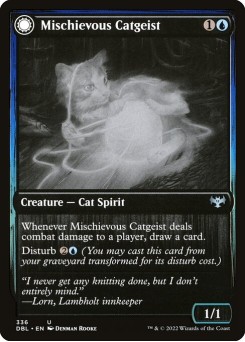 Mischievous Catgeist // Catlike Curiosity