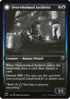 Overwhelmed Archivist // Archive Haunt