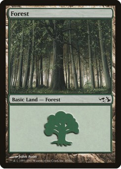 Forest