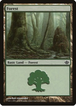 Forest