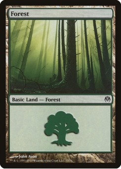 Forest
