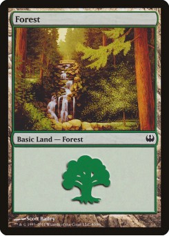 Forest
