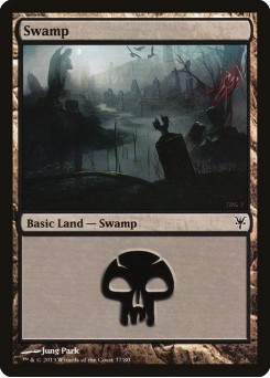 Swamp
