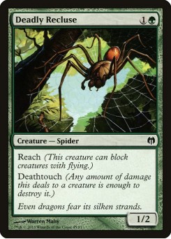 Deadly Recluse