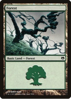 Forest