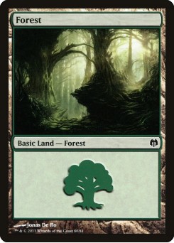 Forest