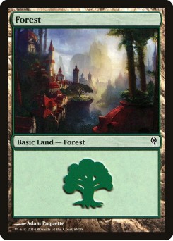 Forest
