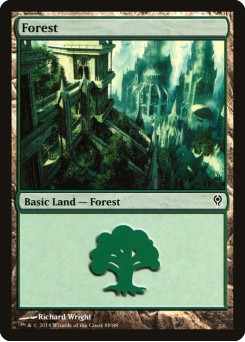 Forest