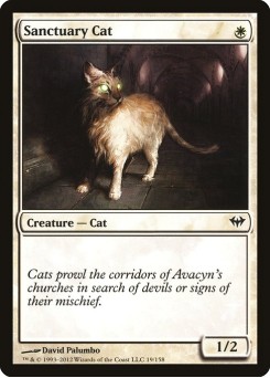 Gato de Santuário