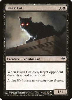 Gato Preto