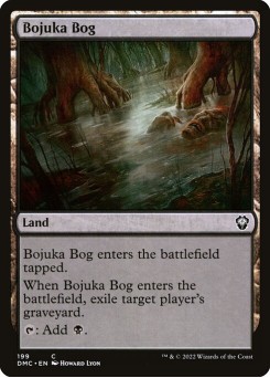 Pântano de Bojuka
