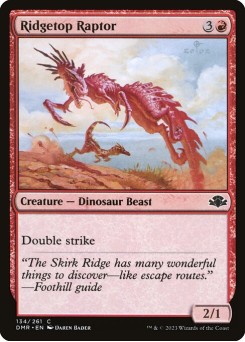 Raptor do Topo da Serra
