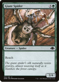 Aranha Gigante