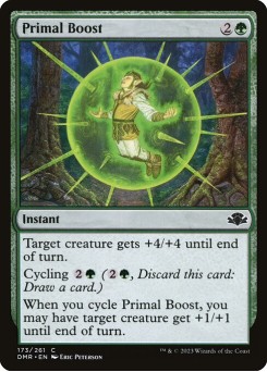 Fomento Primordial