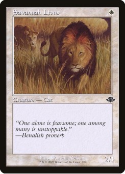 Leões da Savana