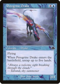 Dragonete Peregrino