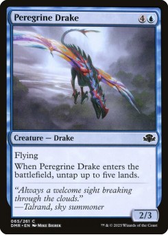 Dragonete Peregrino