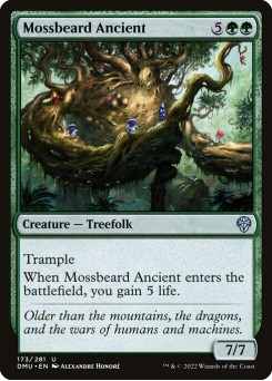 Barbamusgo Ancestral