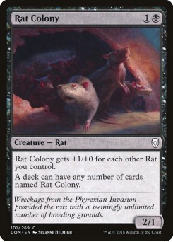 Colônia de Ratos