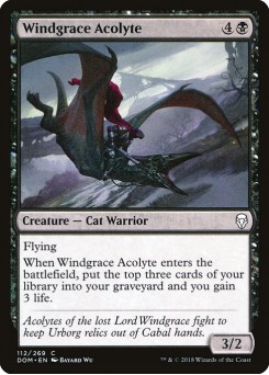 Acólito de Windgrace