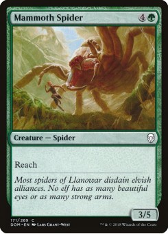 Aranha Mamute