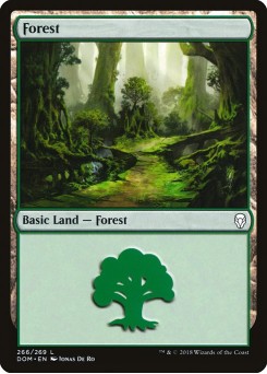Floresta