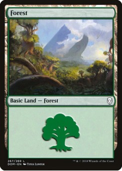 Floresta