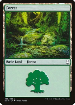 Floresta