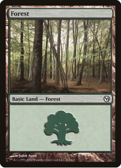 Forest
