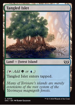 Tangled Islet